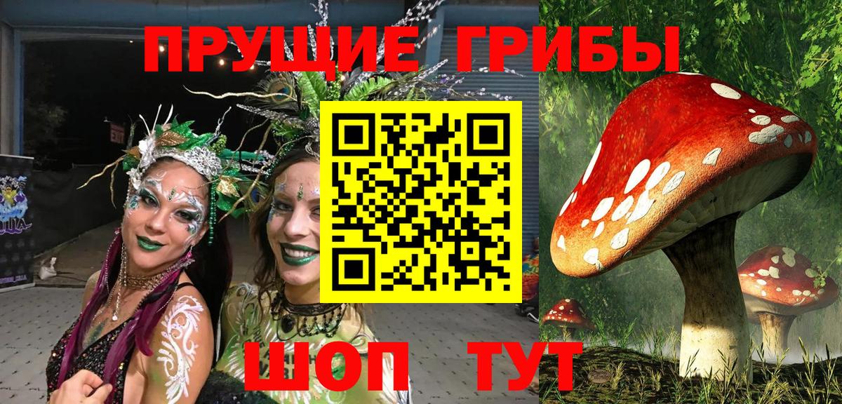 Галлюциногенные грибы мицелий Жигулёвск