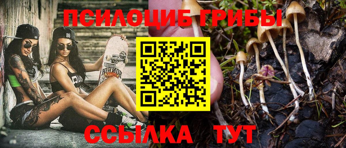 Жигулёвск  Псилоцибиновые грибы GOLDEN TEACHER  купить закладку  Вход с VPN 